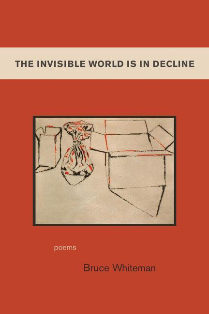 Vorderes Coverbild The Invisible World Is in Decline