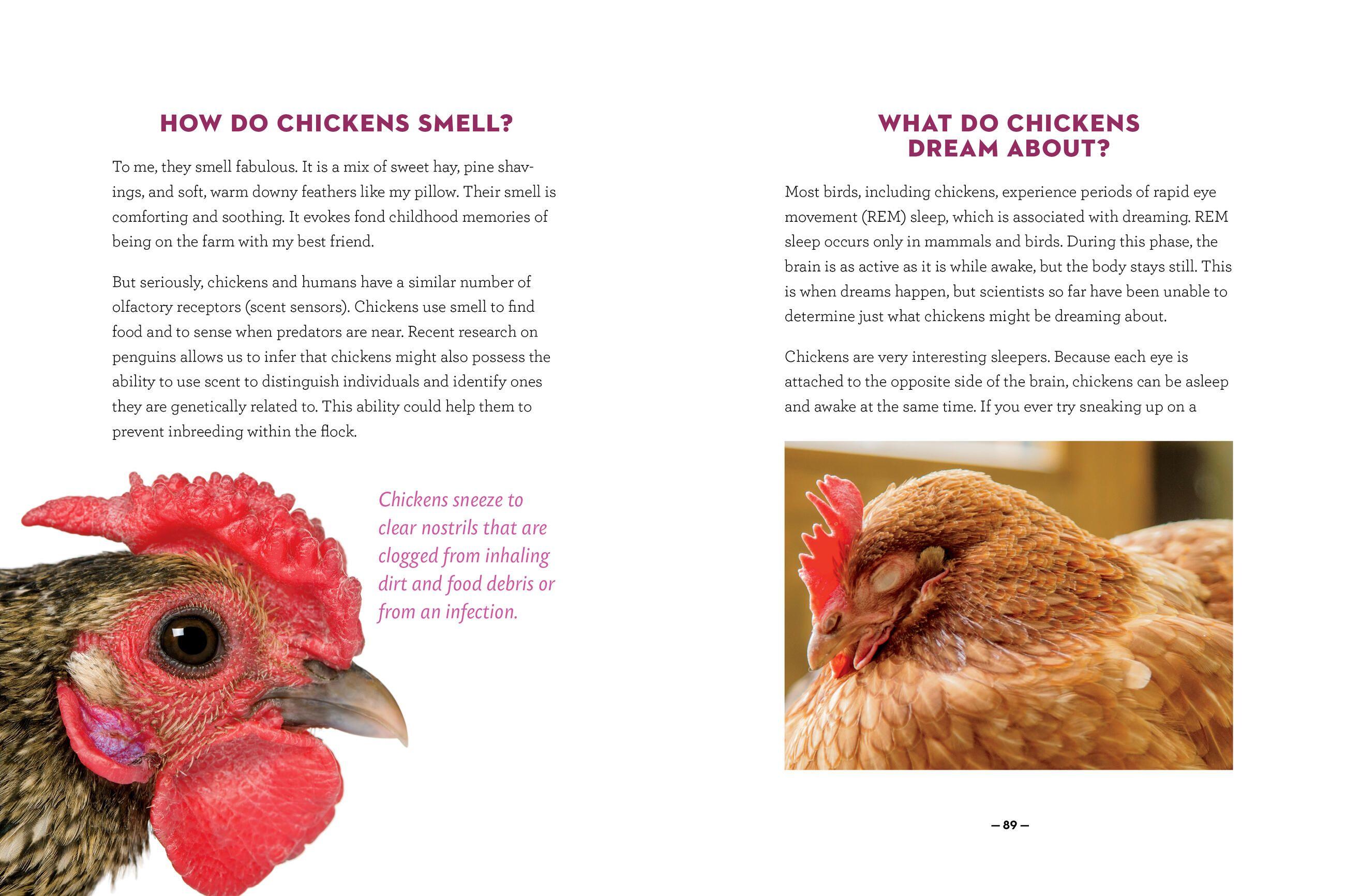 Beispielinhalt (Bild) How to Speak Chicken