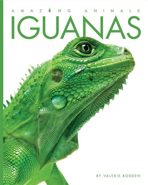 Vorderes Coverbild Amazing Animals: Iguanas