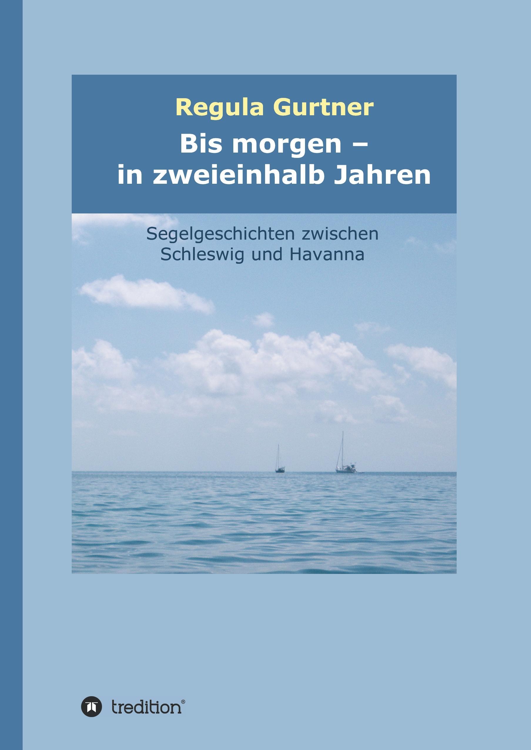 Vorderes Coverbild Bis morgen - in zweieinhalb Jahren