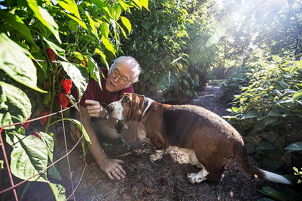 Beispielinhalt (Bild) I STILL GET CHILLS