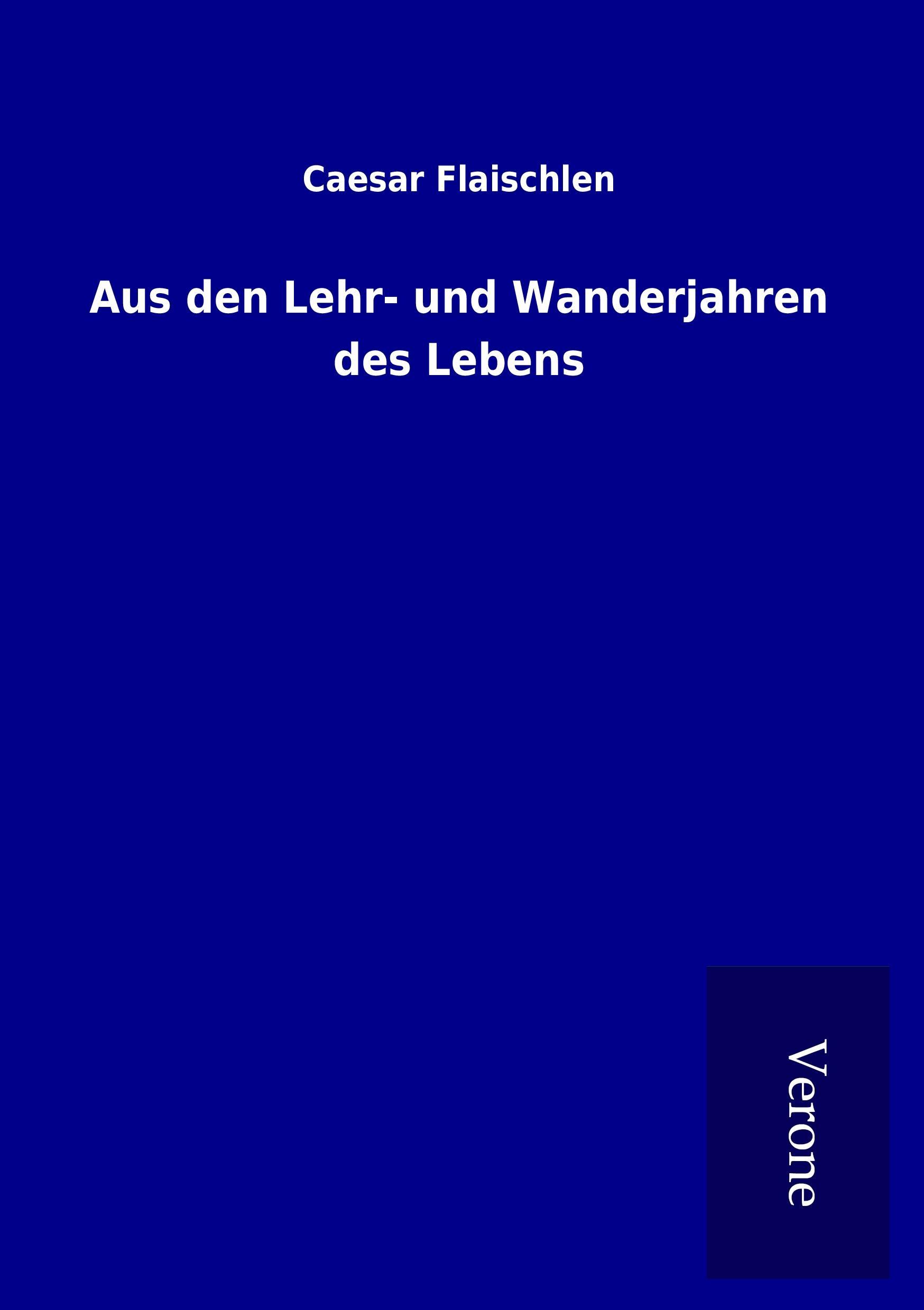 Vorderes Coverbild Aus den Lehr- und Wanderjahren des Lebens