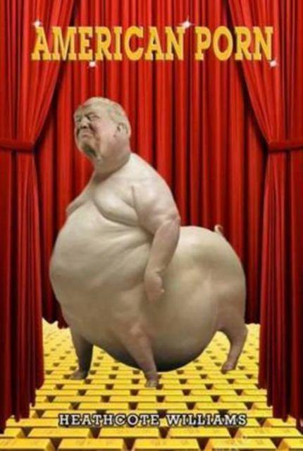 Vorderes Coverbild American Porn