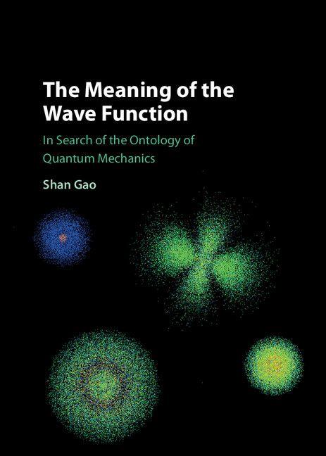 Vorderes Coverbild The Meaning of the Wave Function