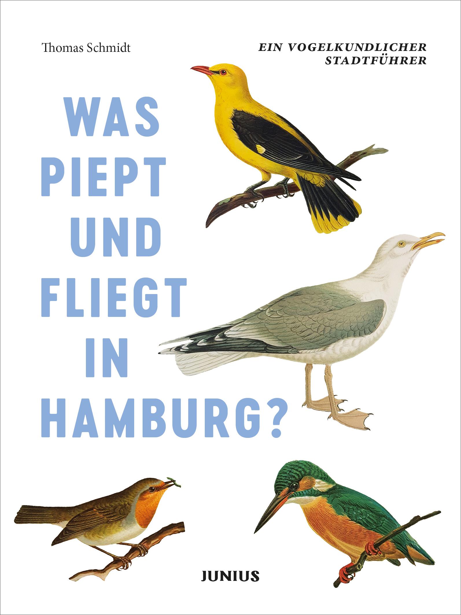 Vorderes Coverbild Was piept und fliegt in Hamburg?