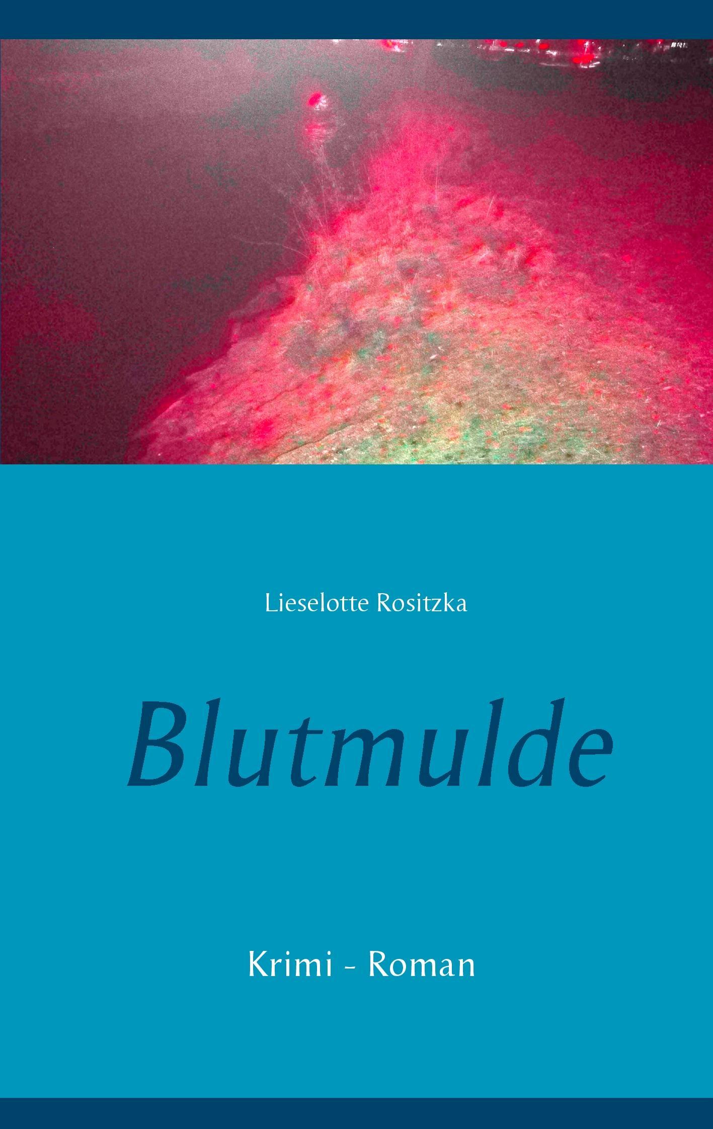 Vorderes Coverbild Blutmulde