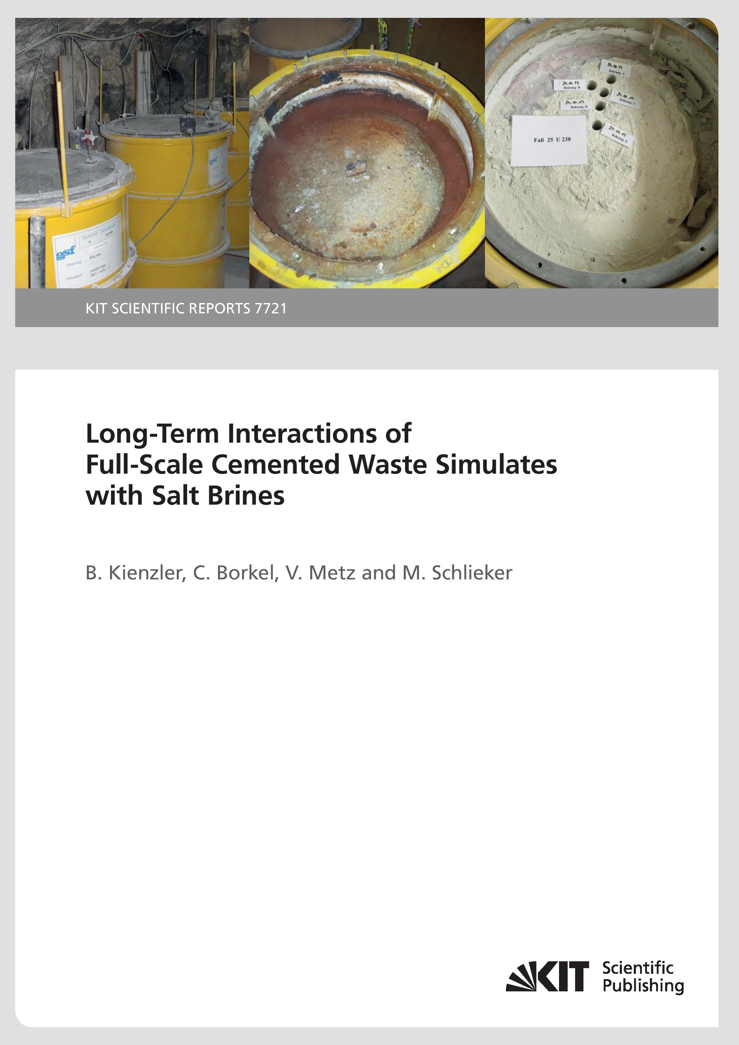 Vorderes Coverbild Long-Term Interactions of Full-Scale Cemented Waste Simulates with Salt Brines