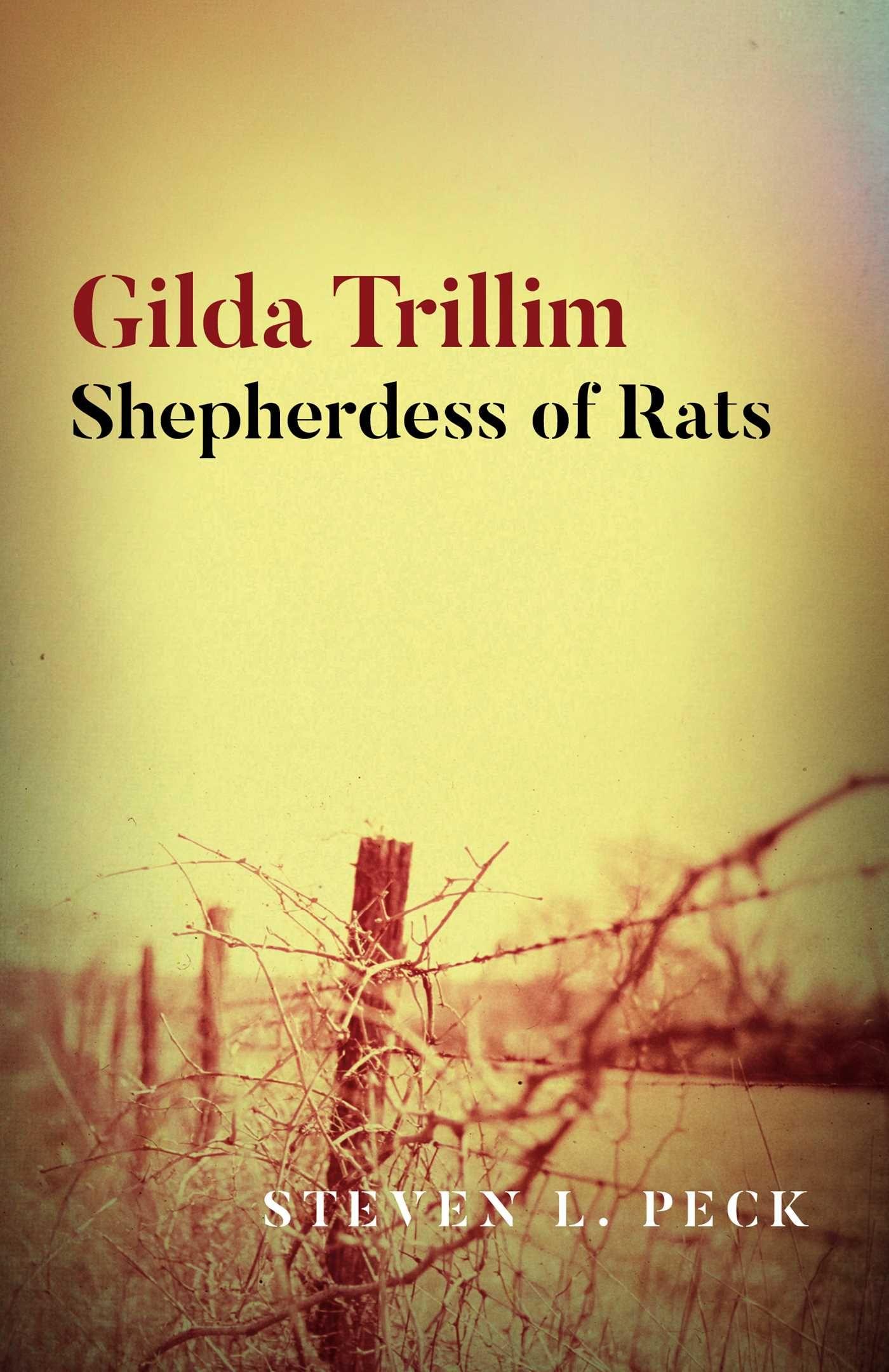 Vorderes Coverbild Gilda Trillim