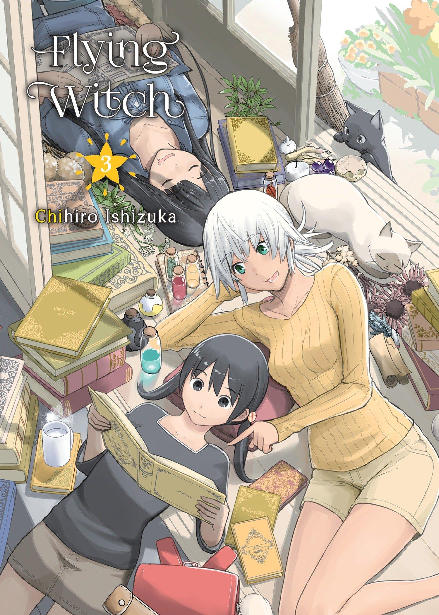 Vorderes Coverbild Flying Witch 3
