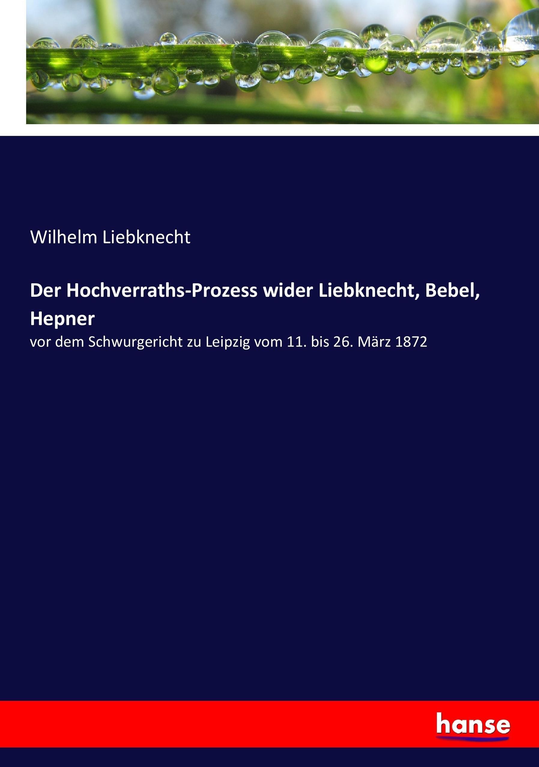 Vorderes Coverbild Der Hochverraths-Prozess wider Liebknecht, Bebel, Hepner
