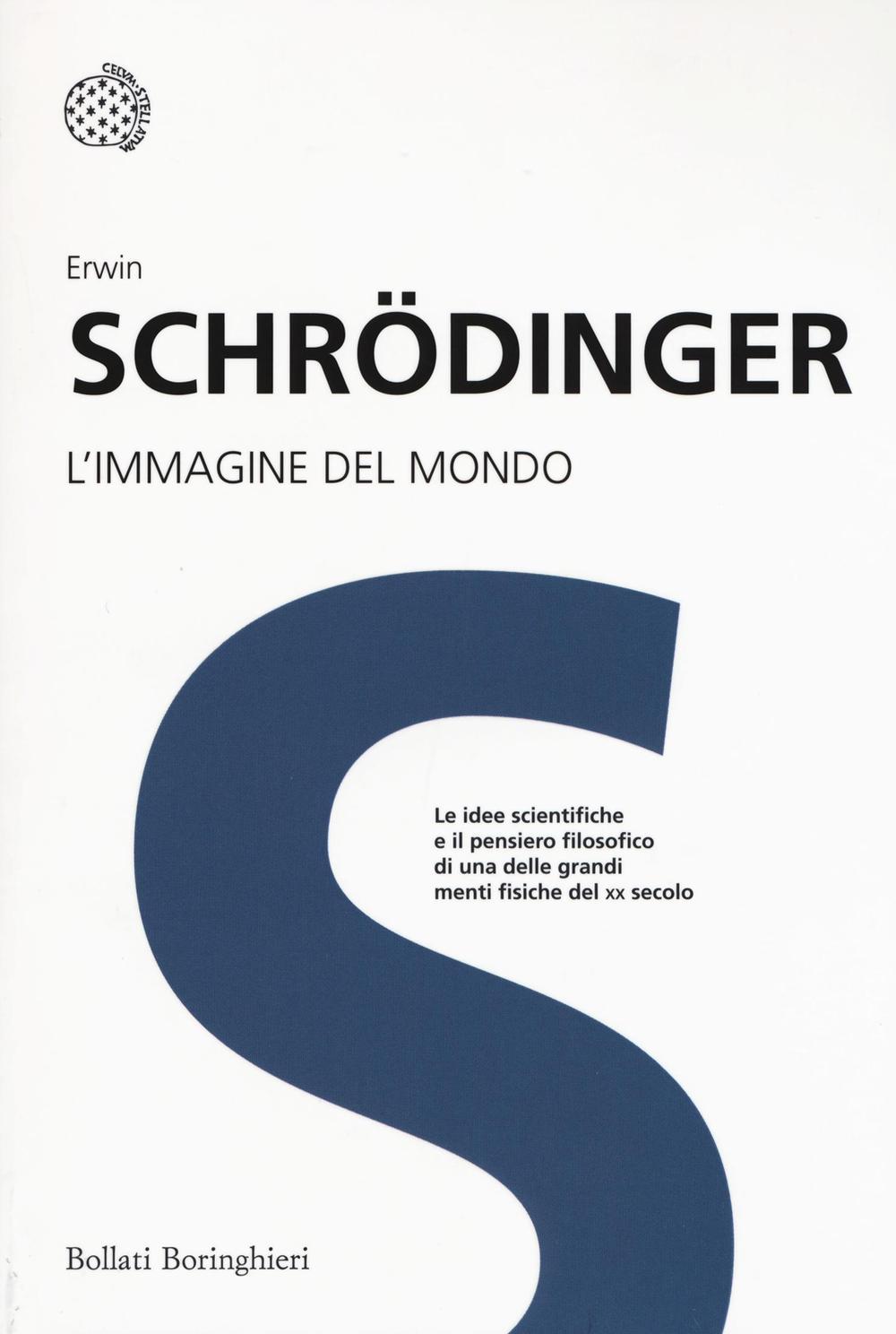 Vorderes Coverbild L' immagine del mondo
