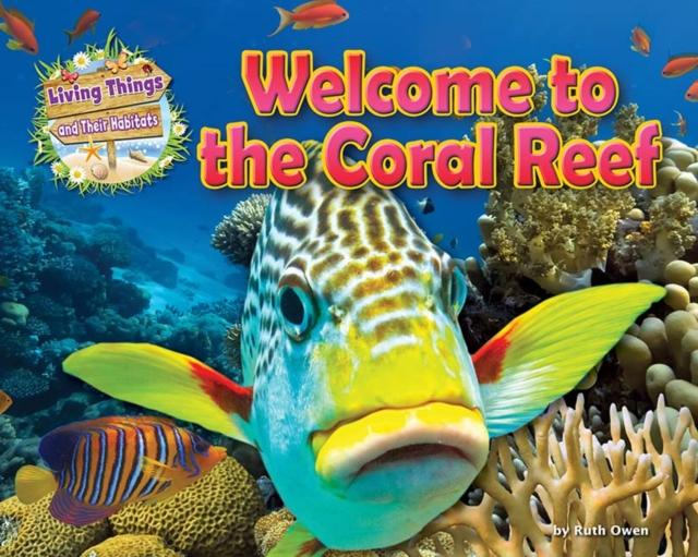 Vorderes Coverbild Welcome to the Coral Reef