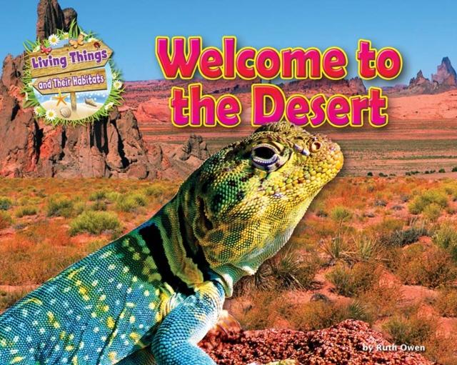 Vorderes Coverbild Welcome to the Desert