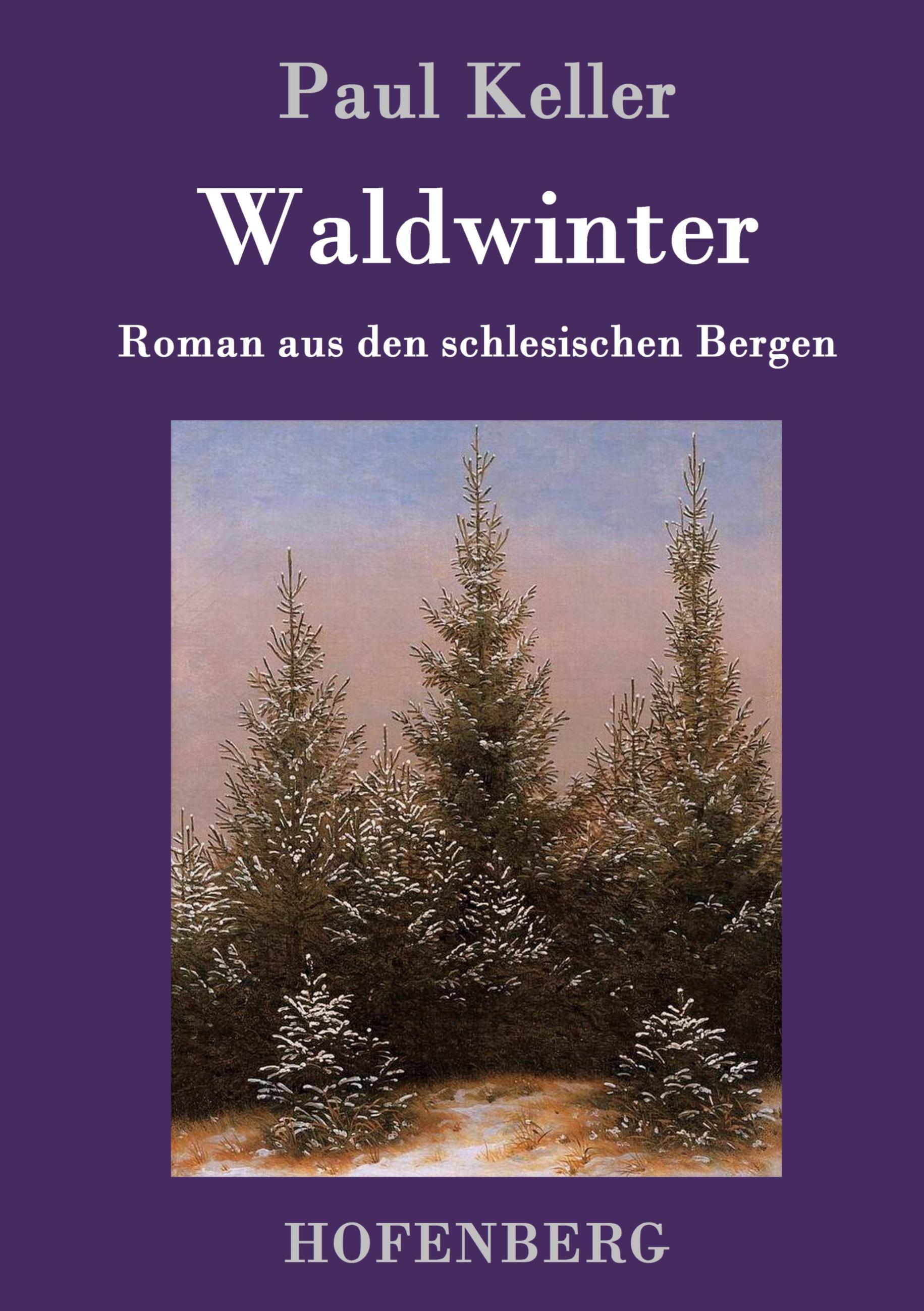 Vorderes Coverbild Waldwinter