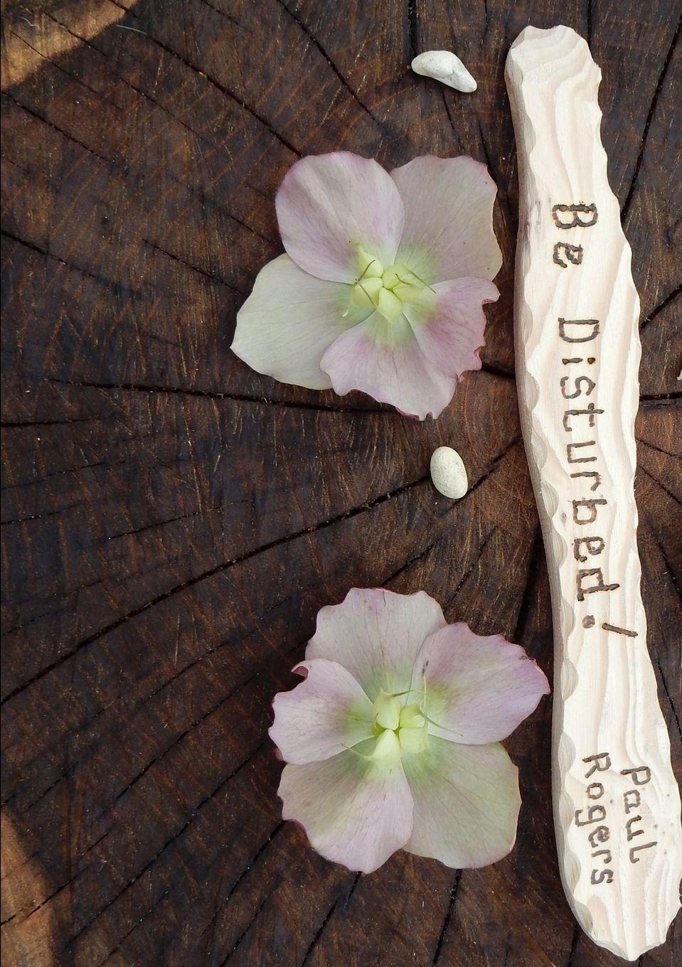 Vorderes Coverbild Be Disturbed