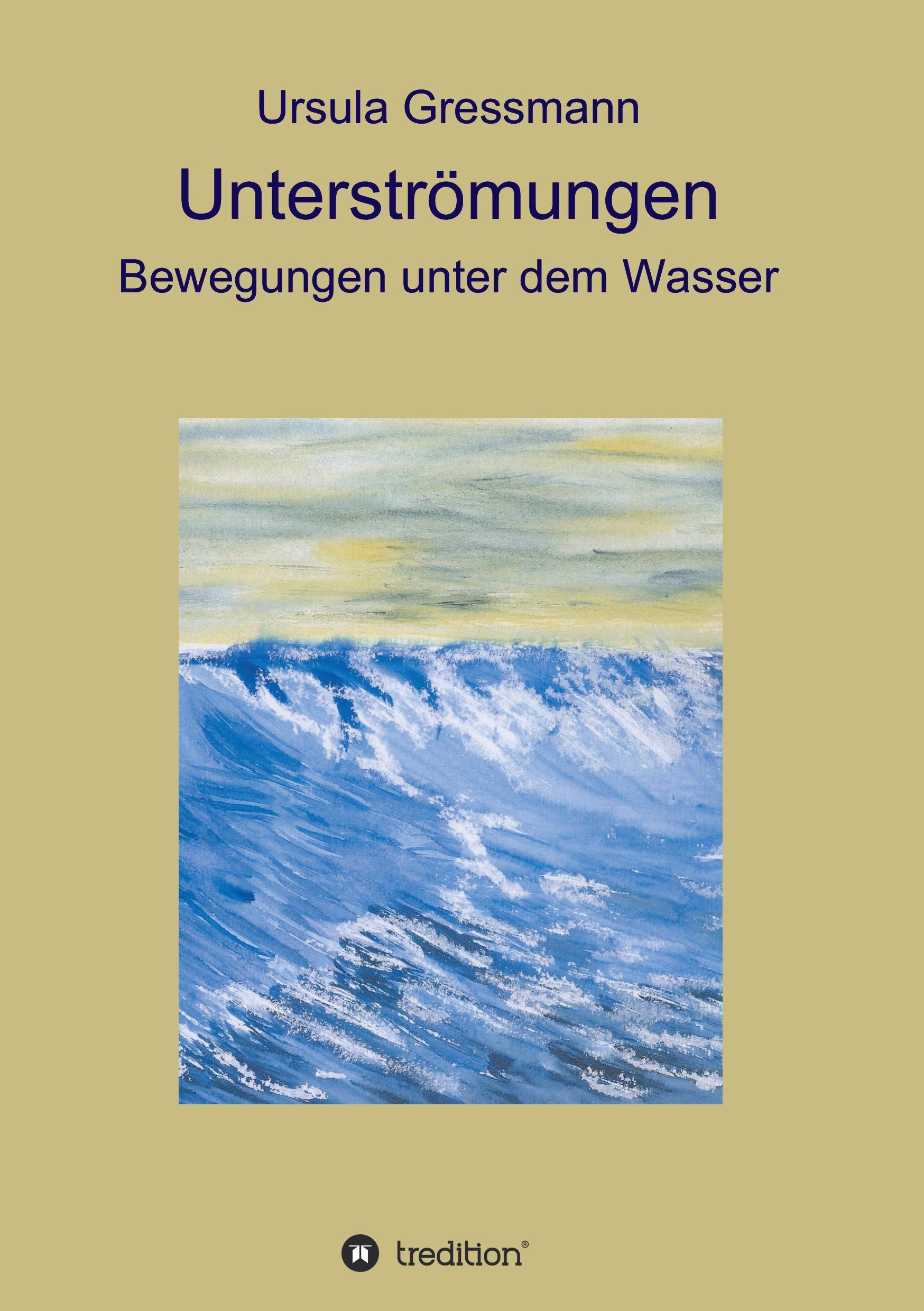 Vorderes Coverbild Unterströmungen