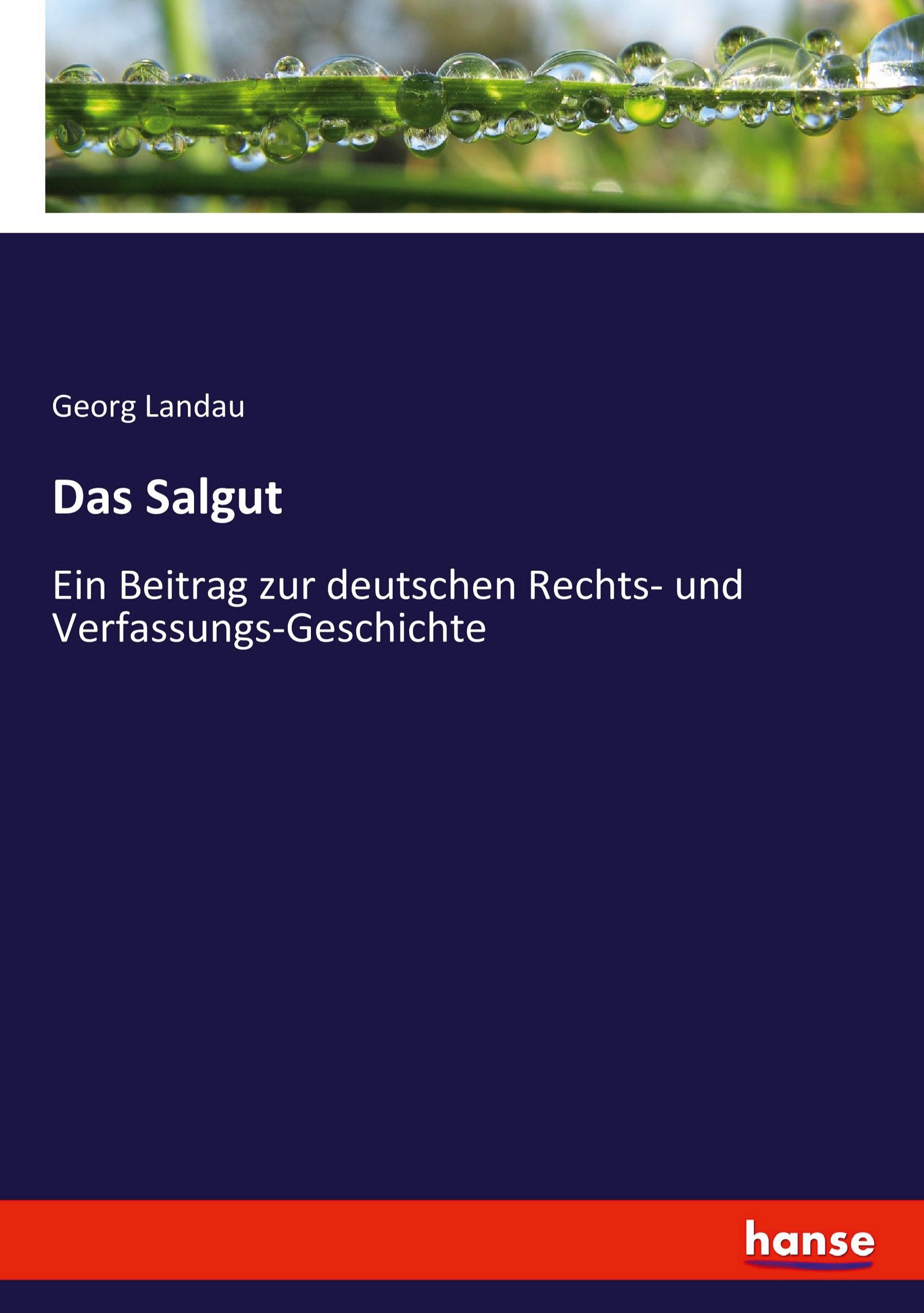 Vorderes Coverbild Das Salgut