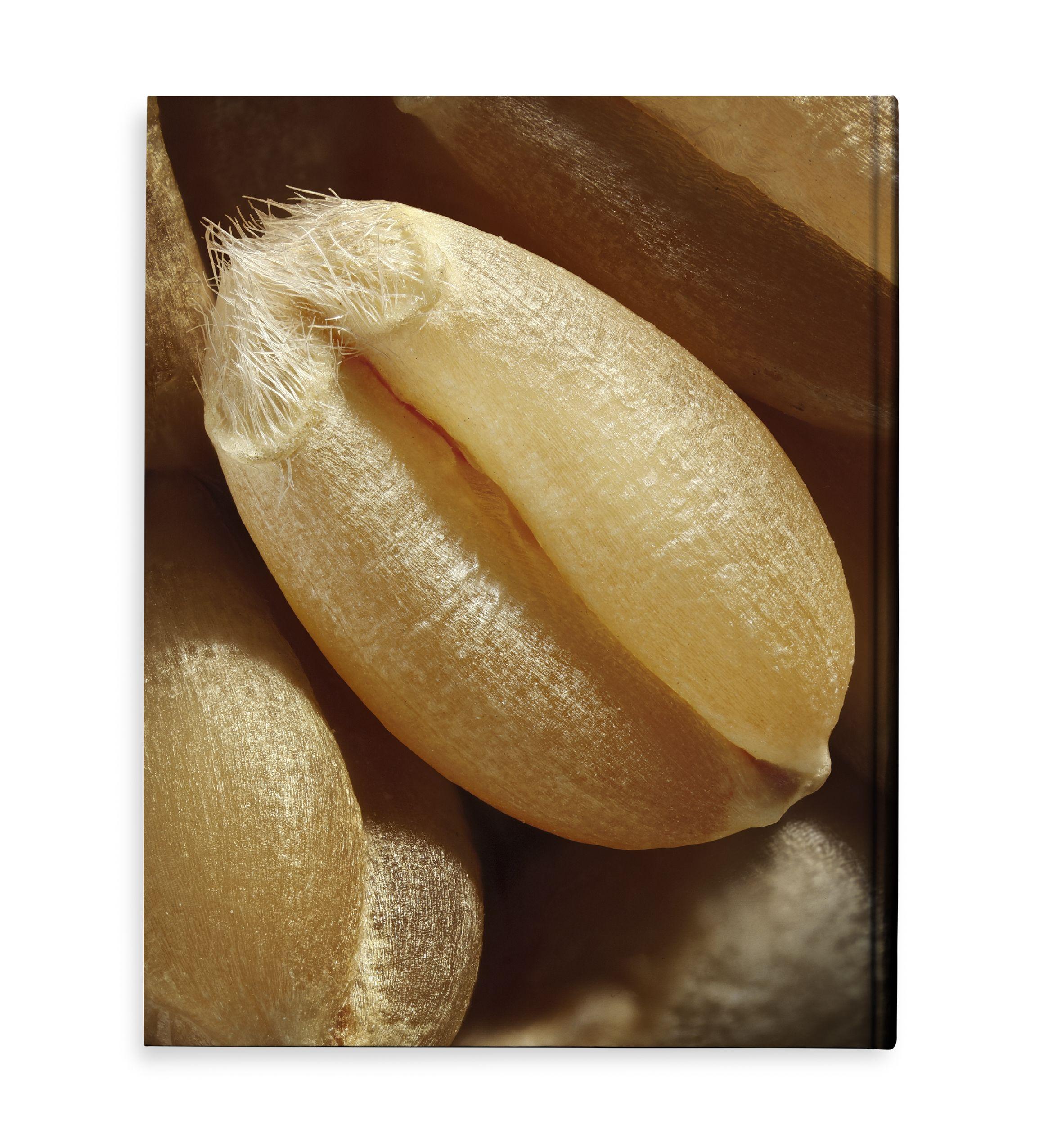 Beispielinhalt (Bild) Modernist Bread