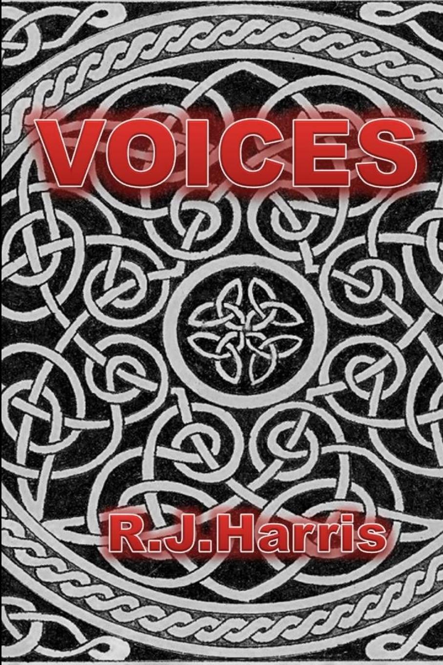 Vorderes Coverbild VOICES