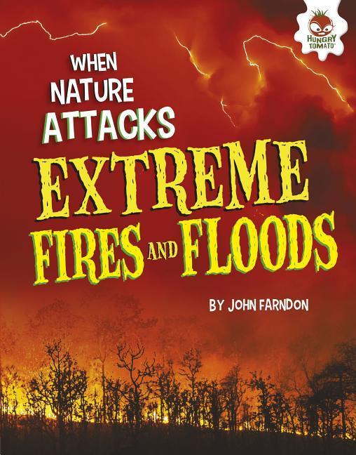 Vorderes Coverbild Extreme Fires and Floods