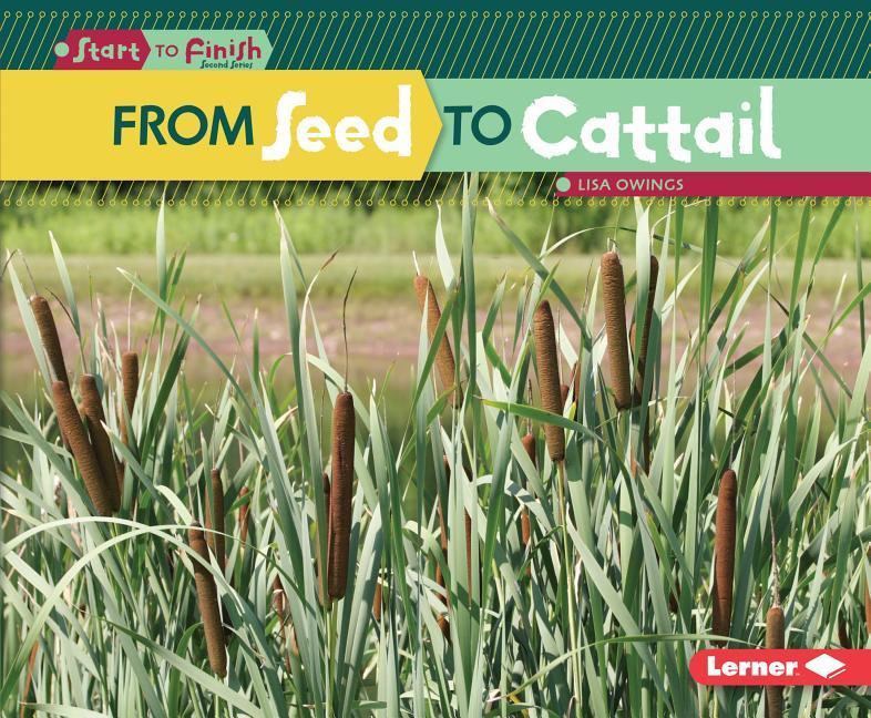 Vorderes Coverbild From Seed to Cattail