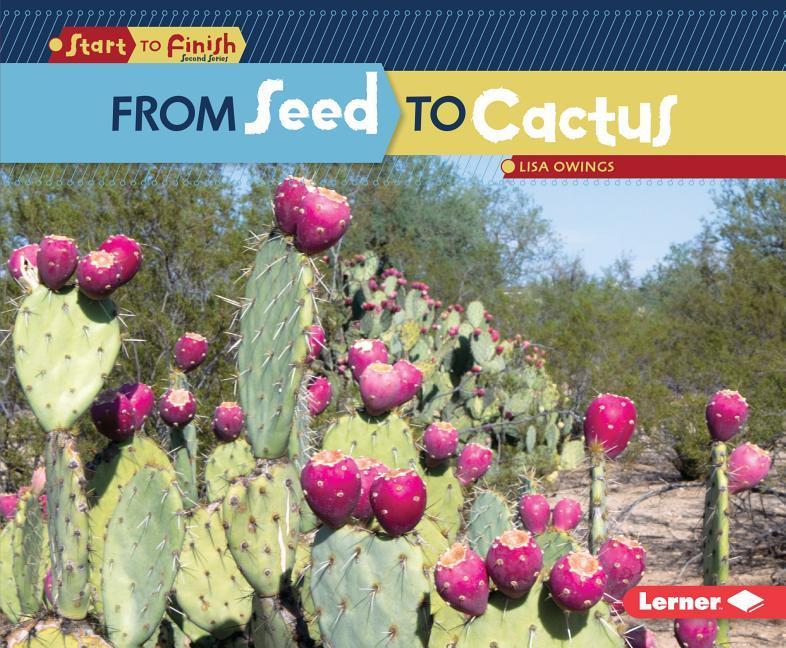 Vorderes Coverbild From Seed to Cactus