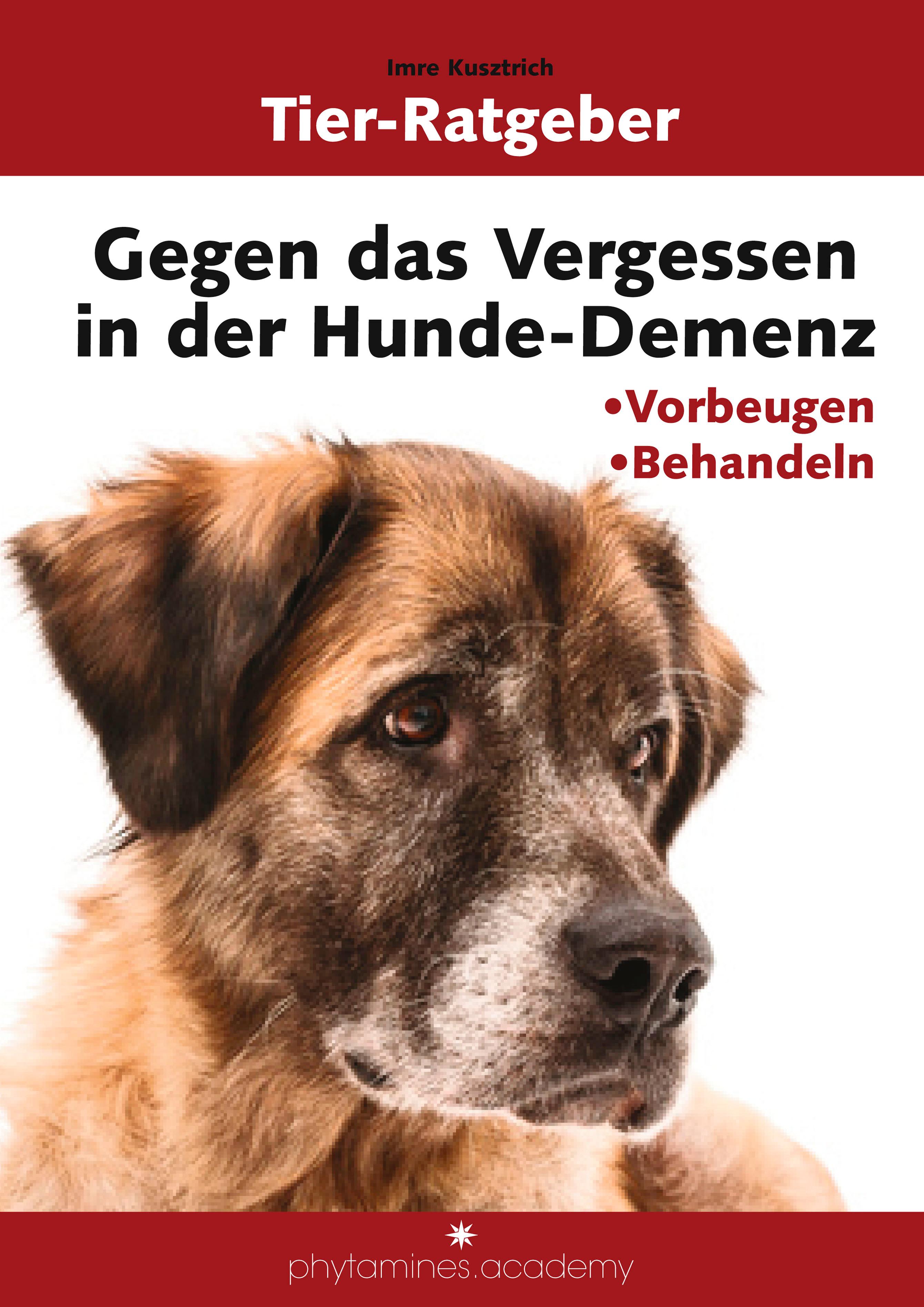 Vorderes Coverbild Gegen das Vergessen in der Hunde-Demenz