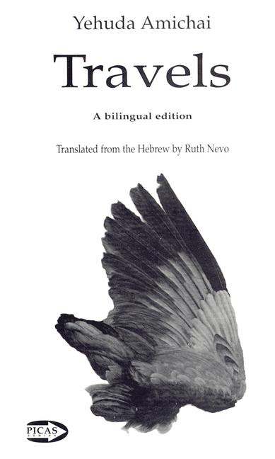 Vorderes Coverbild The Sleeping Lady