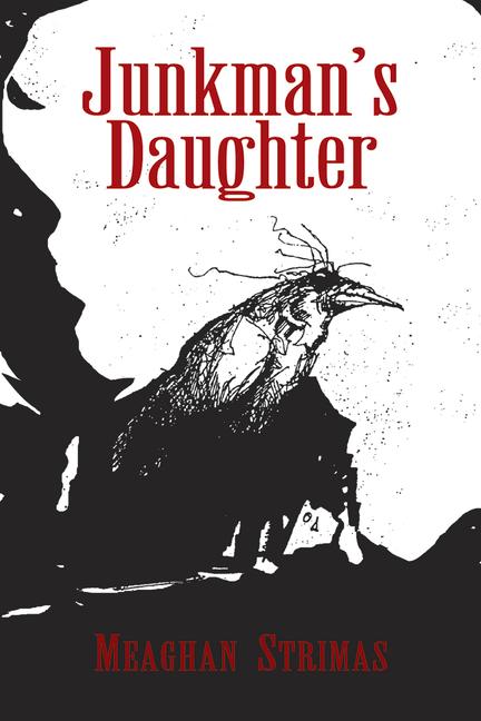 Vorderes Coverbild Junkman's Daughter