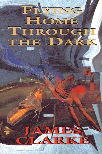 Vorderes Coverbild Flying Home Through the Dark