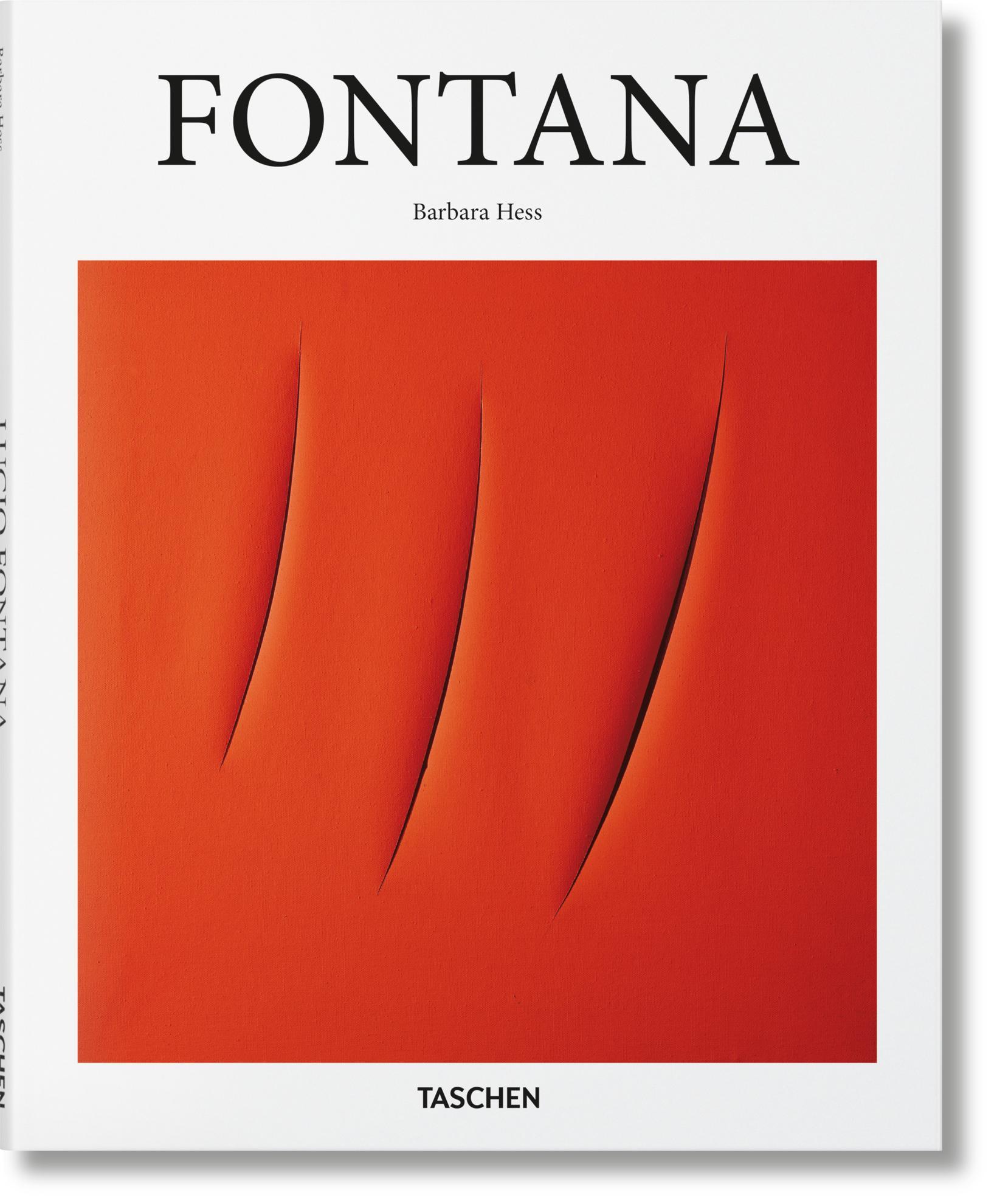 Vorderes Coverbild Fontana