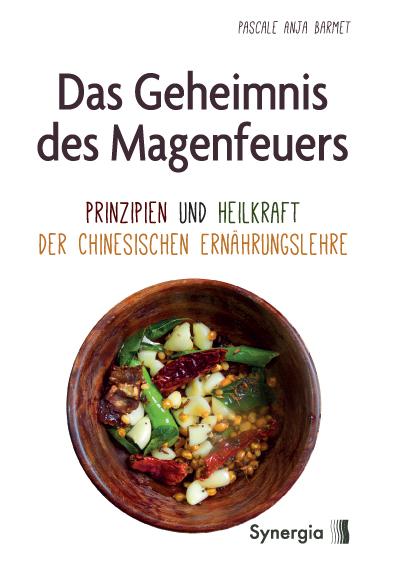 Vorderes Coverbild Das Geheimnis des Magenfeuers