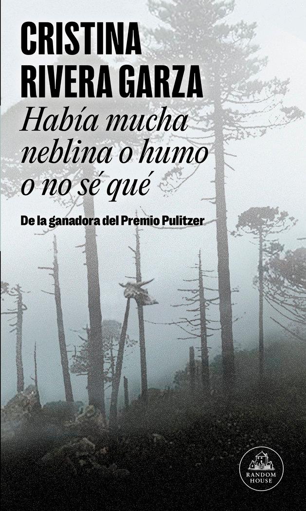 Vorderes Coverbild Había mucha neblina o humo o no sé qué : mapa de las lenguas