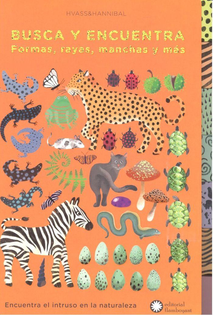 Vorderes Coverbild Busca Y Encuentra Formas, Rayas, Manchas Y Mas