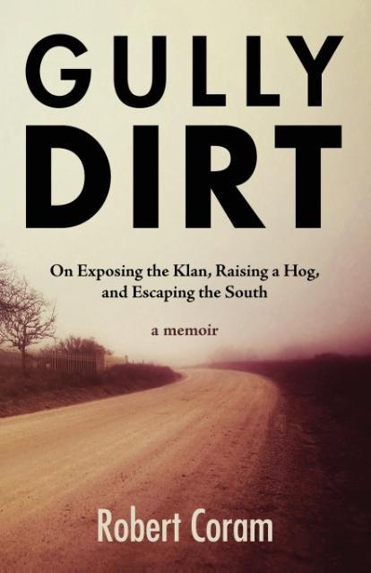 Vorderes Coverbild Gully Dirt