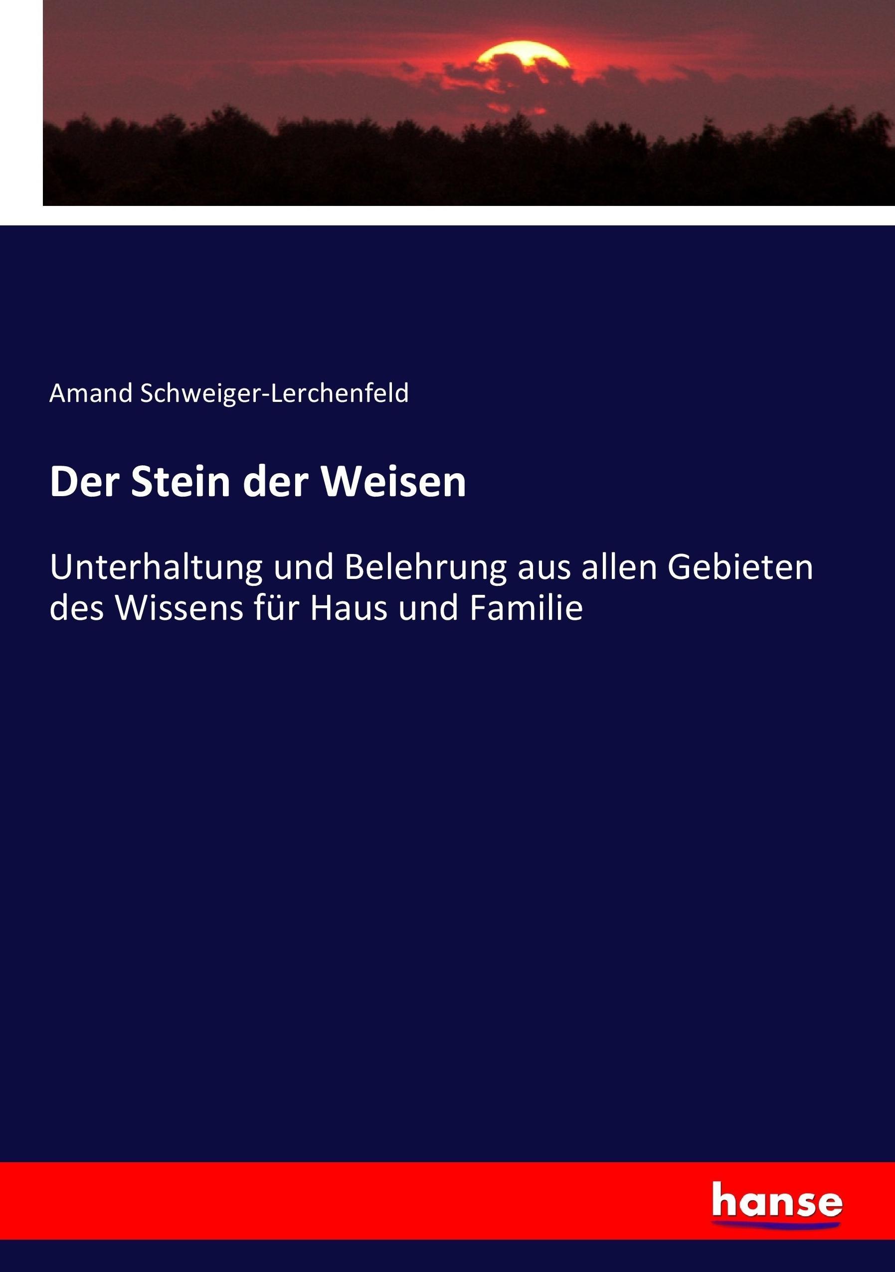 Vorderes Coverbild Der Stein der Weisen