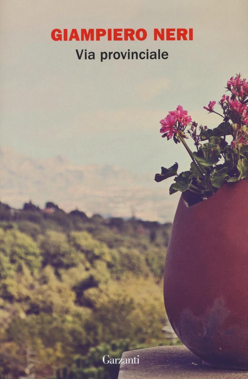 Vorderes Coverbild Via provinciale