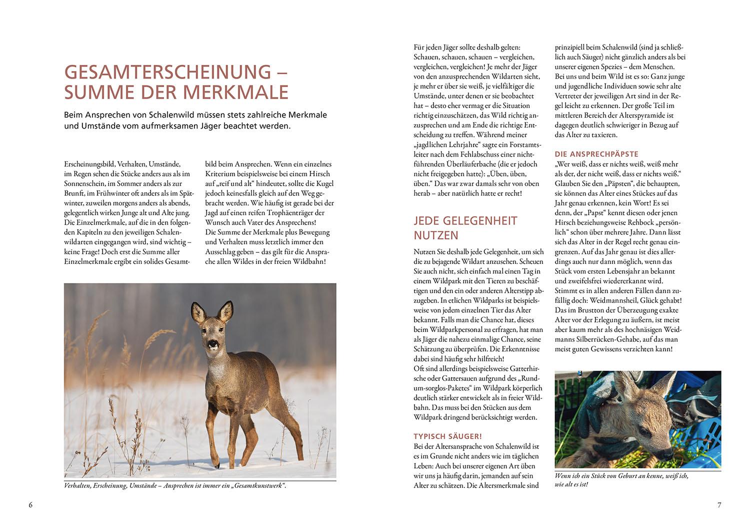 Beispielinhalt (Bild) Die Altersansprache des Schalenwilds