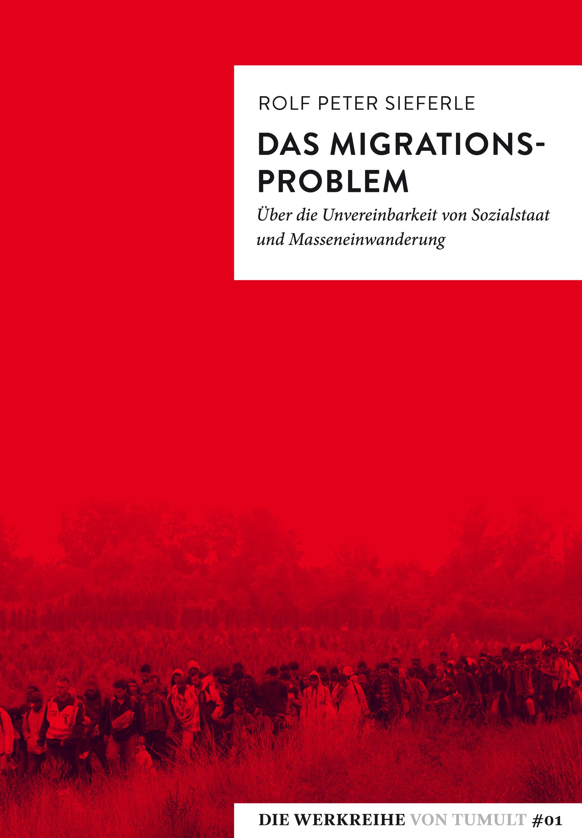 Vorderes Coverbild Das Migrationsproblem