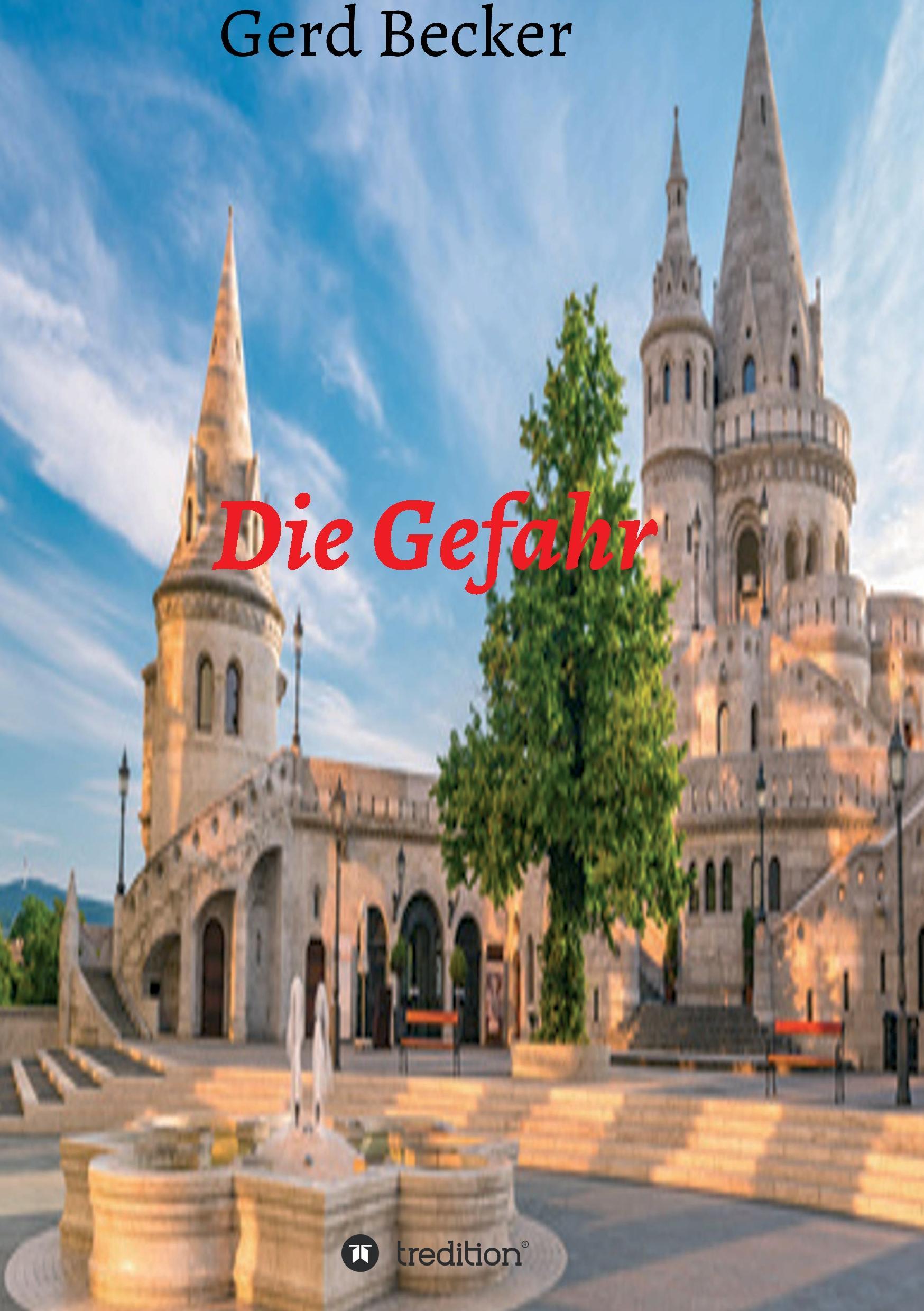Vorderes Coverbild Die Gefahr