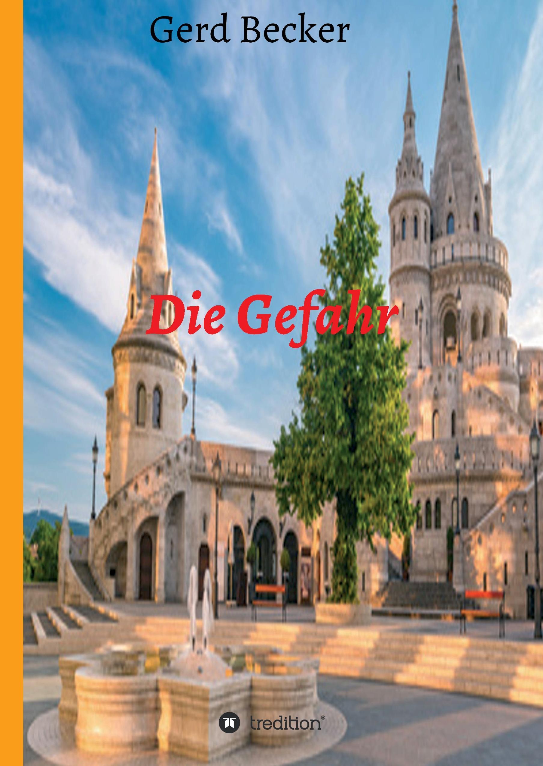 Vorderes Coverbild Die Gefahr