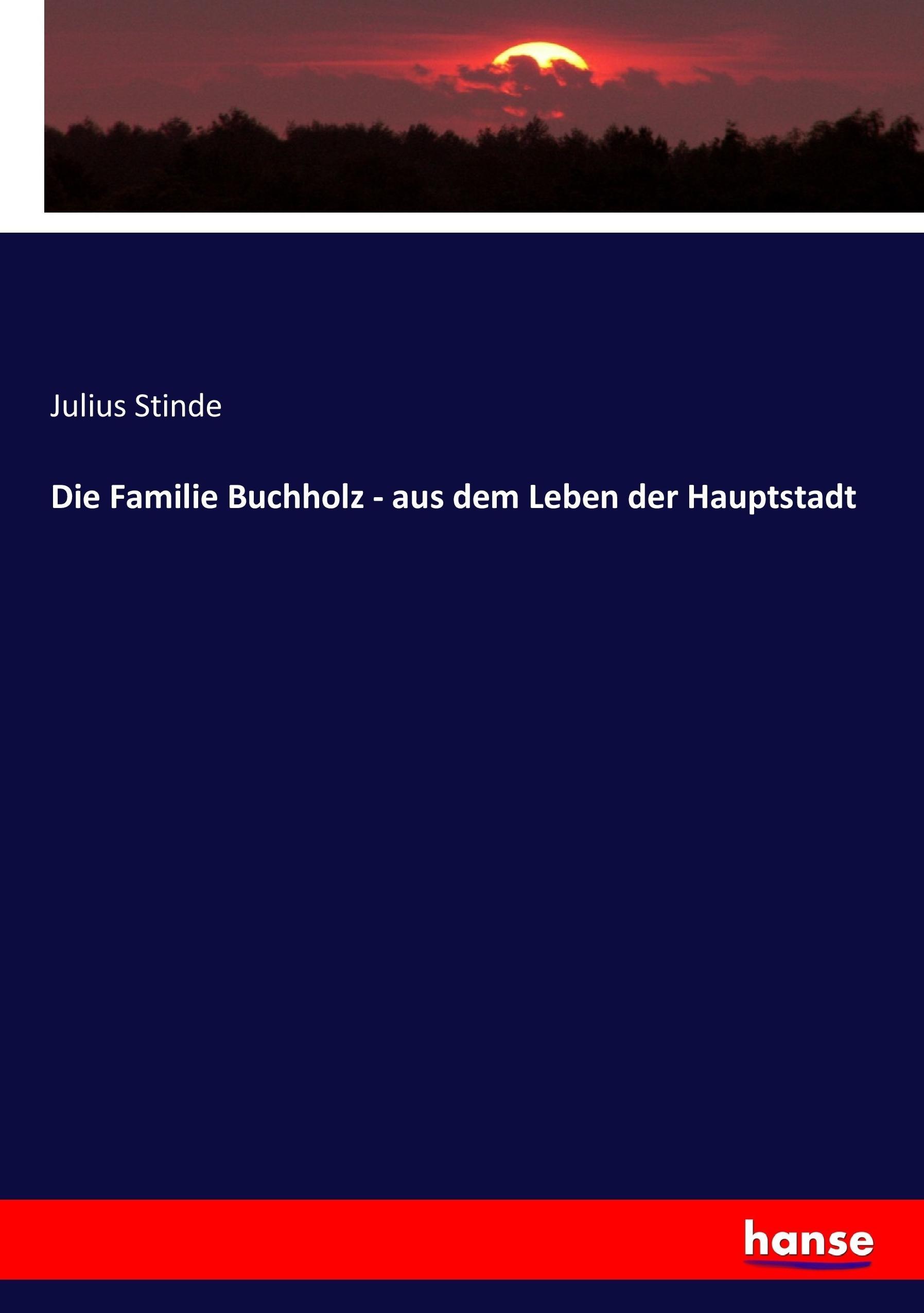 Vorderes Coverbild Die Familie Buchholz - aus dem Leben der Hauptstadt