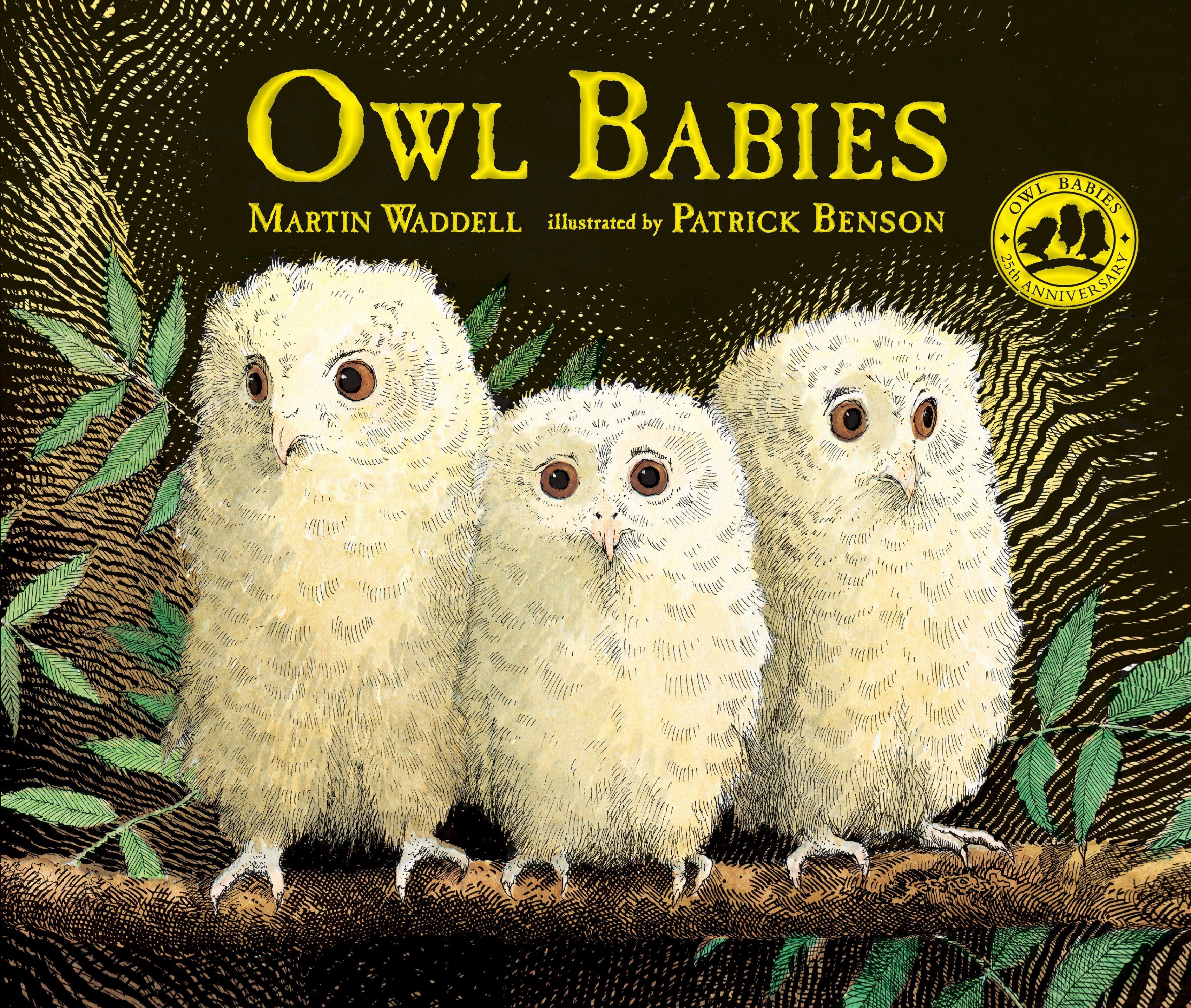 Vorderes Coverbild Owl Babies