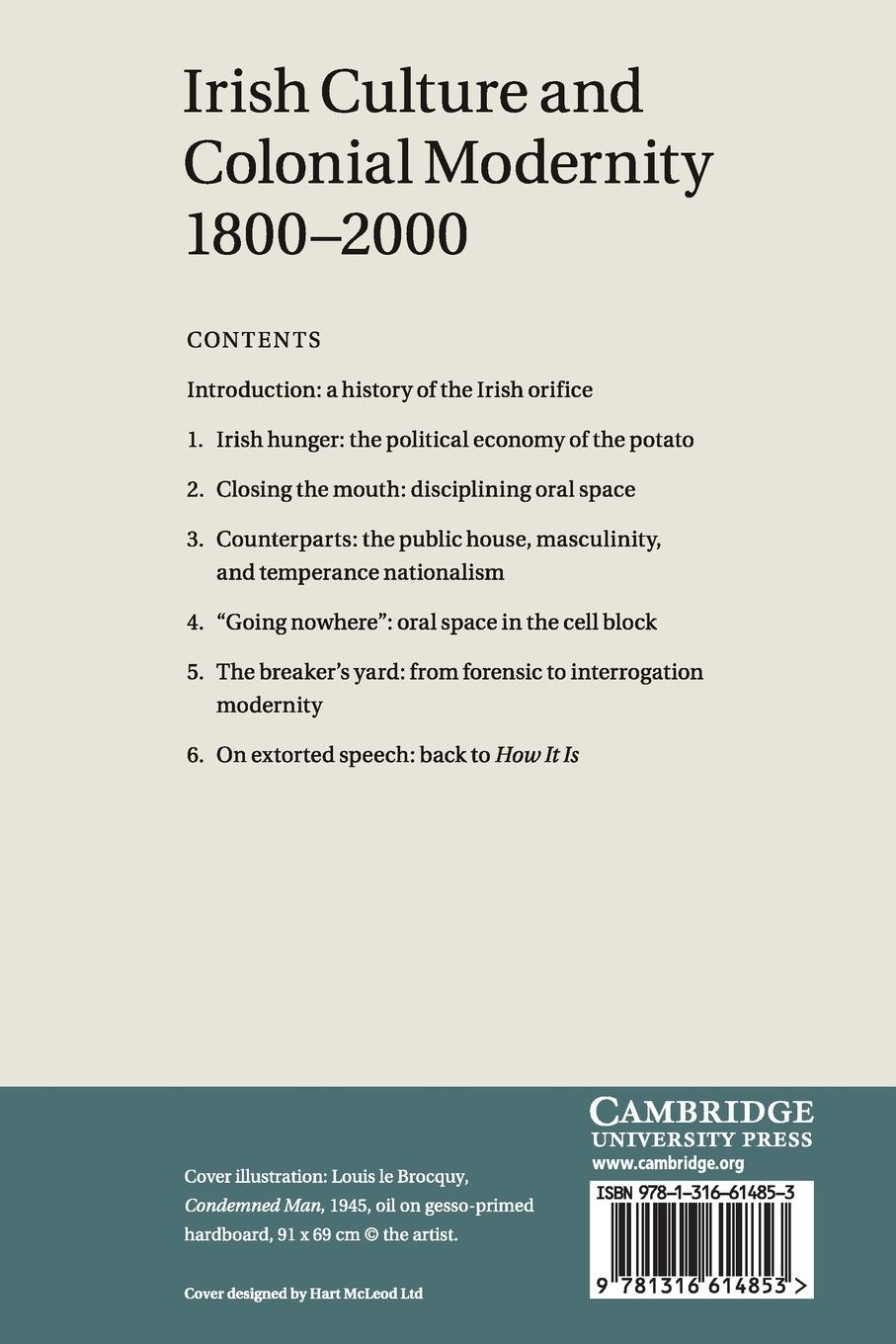 Rückseitencover Irish Culture and Colonial Modernity             1800-2000