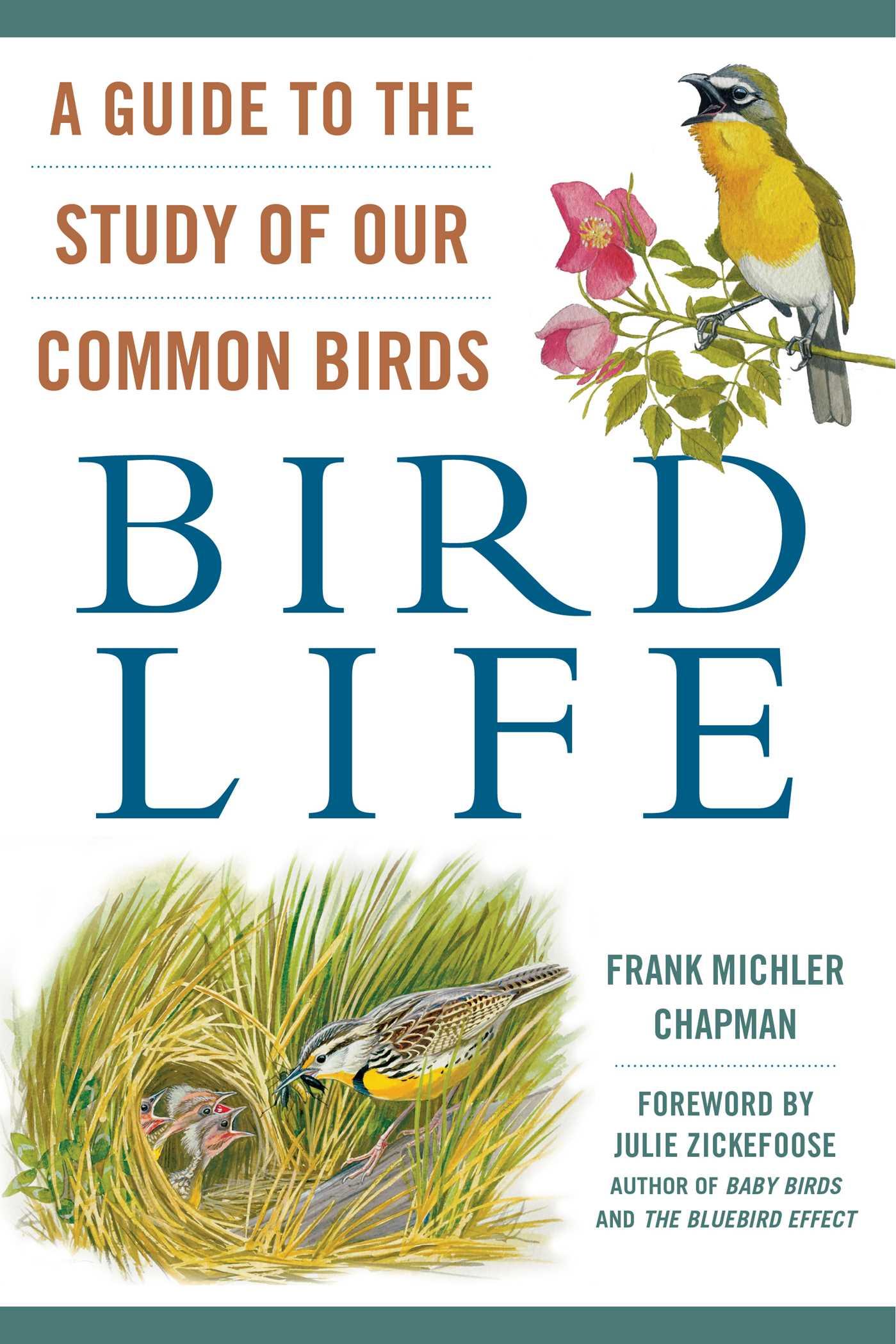 Vorderes Coverbild Bird Life