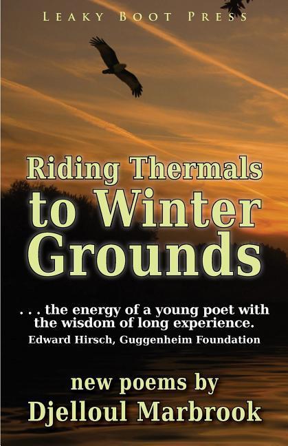 Vorderes Coverbild Riding Thermals to Winter Grounds