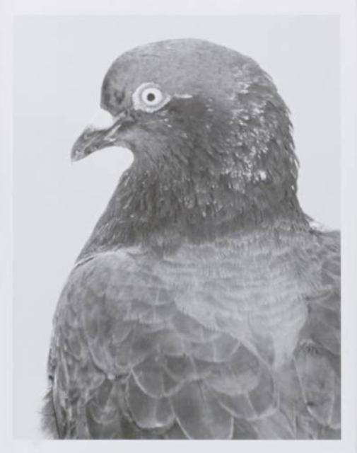 Vorderes Coverbild Citizen