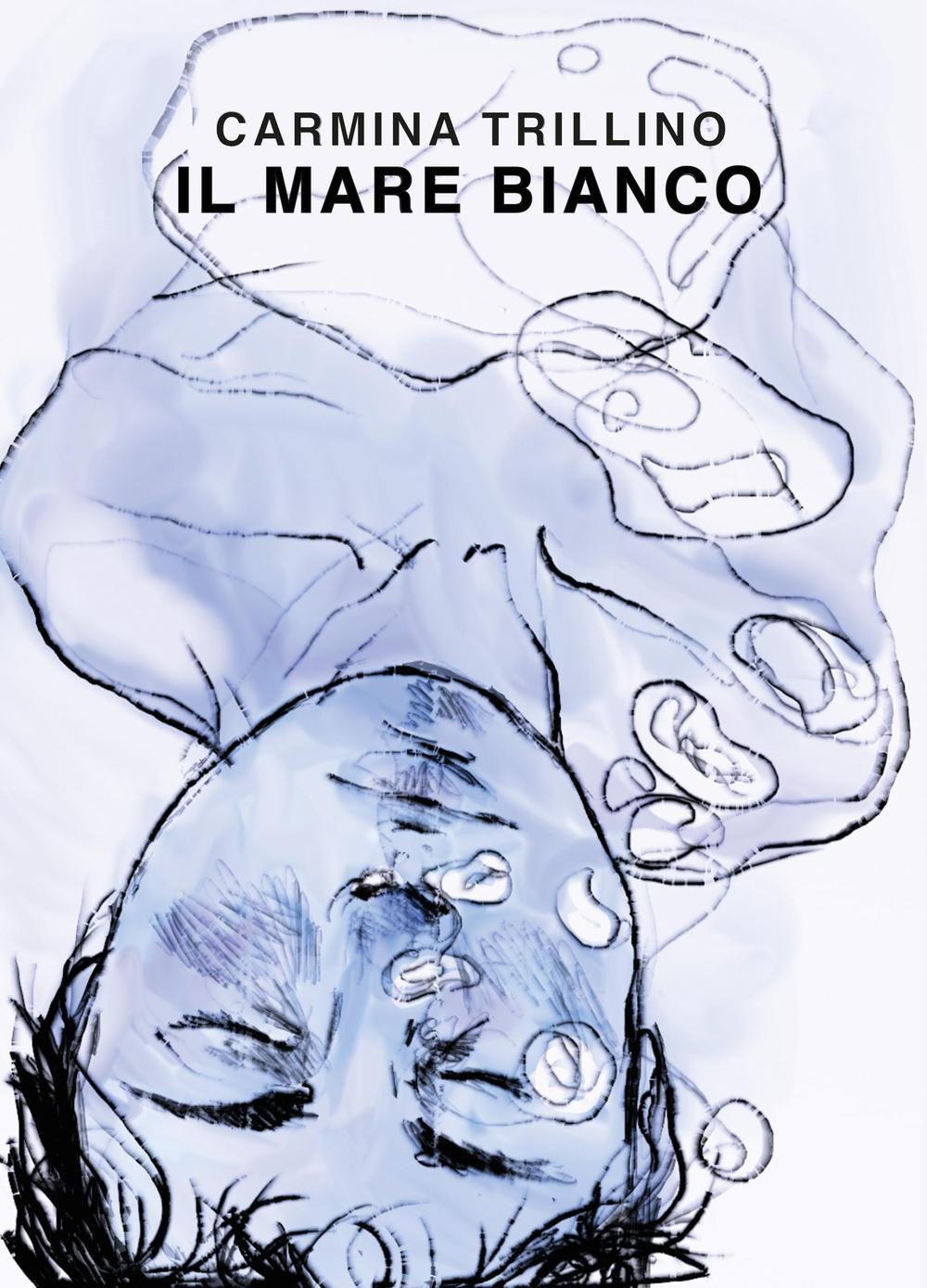 Vorderes Coverbild Il mare bianco
