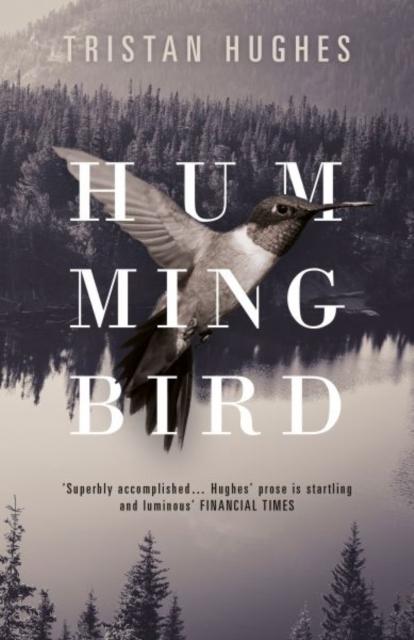 Vorderes Coverbild Hummingbird