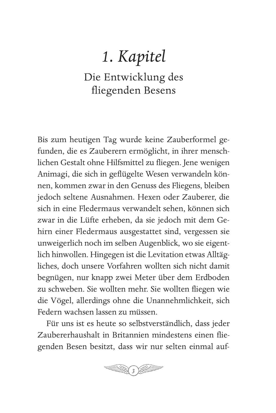 Beispielinhalt (Bild) Hogwarts-Schulbücher: Quidditch im Wandel der Zeiten